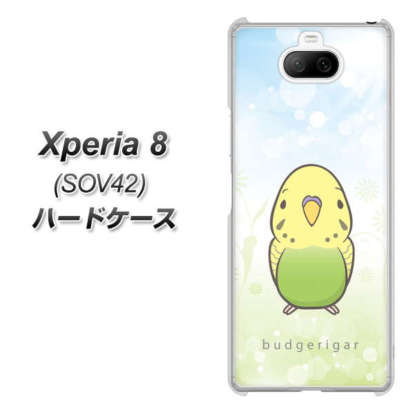 au エクスペリア8 SOV42 高画質仕上げ 背面印刷 ハードケース【SC838 セキセイインコ グリーン】