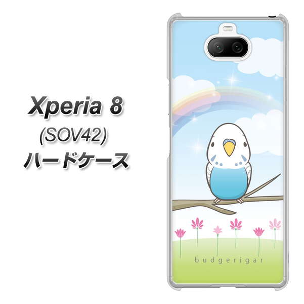 au エクスペリア8 SOV42 高画質仕上げ 背面印刷 ハードケース【SC839 セキセイインコ ブルー】