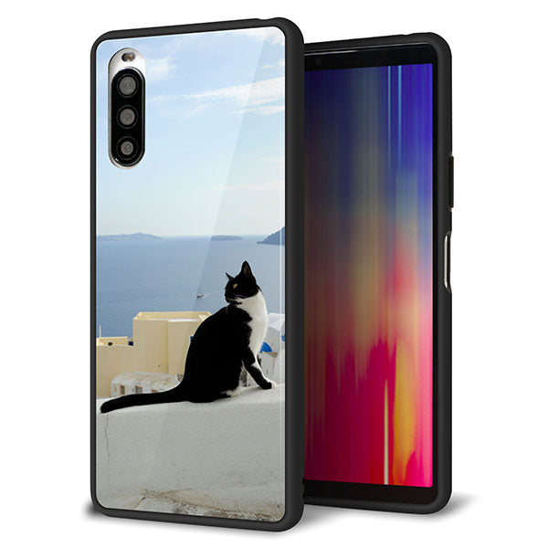 au エクスペリア10 II SOV43 強化ガラス&TPUスマホケース ガラプリ【VA805 ネコと地中海】