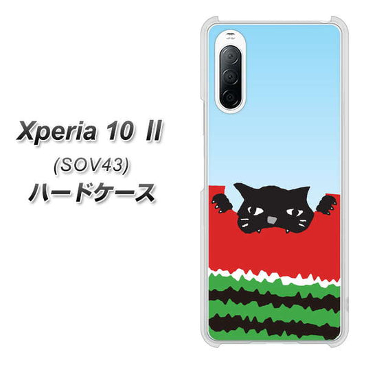 au エクスペリア10 II SOV43 高画質仕上げ 背面印刷 ハードケース【IA815 すいかをかじるネコ(大)】