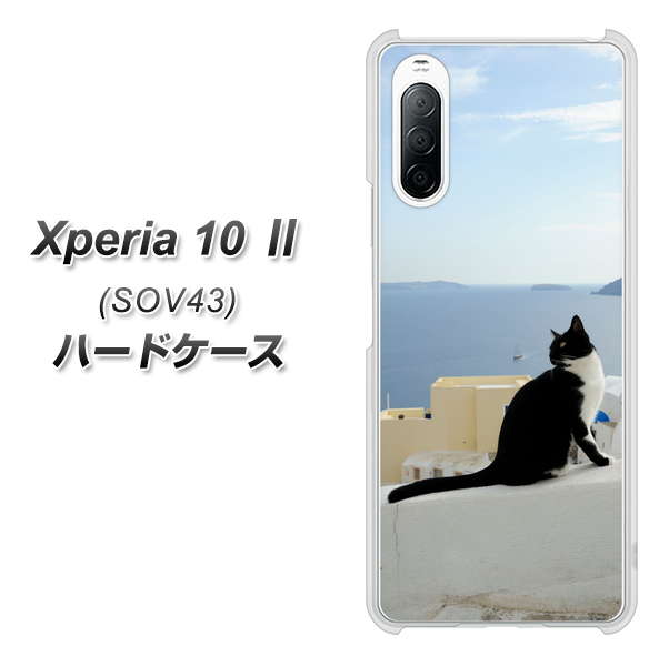 au エクスペリア10 II SOV43 高画質仕上げ 背面印刷 ハードケース【VA805 ネコと地中海】