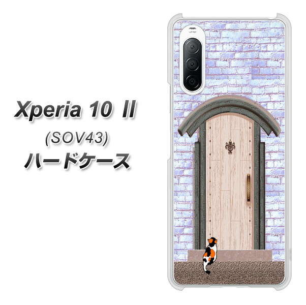 au エクスペリア10 II SOV43 高画質仕上げ 背面印刷 ハードケース【YA952 石ドア02 素材クリア】