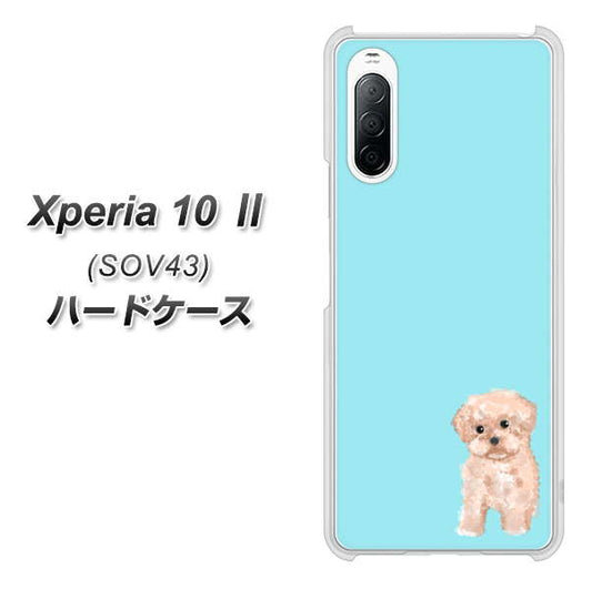au エクスペリア10 II SOV43 高画質仕上げ 背面印刷 ハードケース【YJ062 トイプードルアプリコット(ブルー)】