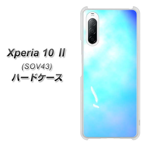 au エクスペリア10 II SOV43 高画質仕上げ 背面印刷 ハードケース【YJ291 デザイン 光】