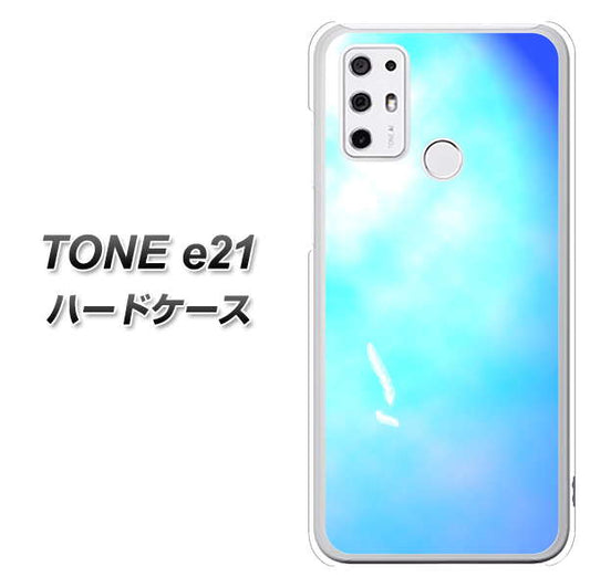 SIMフリー トーンモバイル TONE e21 高画質仕上げ 背面印刷 ハードケース【YJ291 デザイン 光】