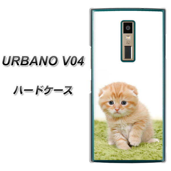 au アルバーノV04 高画質仕上げ 背面印刷 ハードケース【VA802 ネコこっそり】