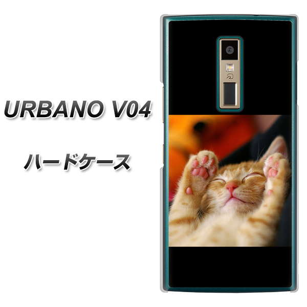 au アルバーノV04 高画質仕上げ 背面印刷 ハードケース【VA804 爆睡するネコ】