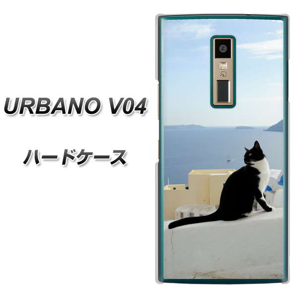 au アルバーノV04 高画質仕上げ 背面印刷 ハードケース【VA805 ネコと地中海】