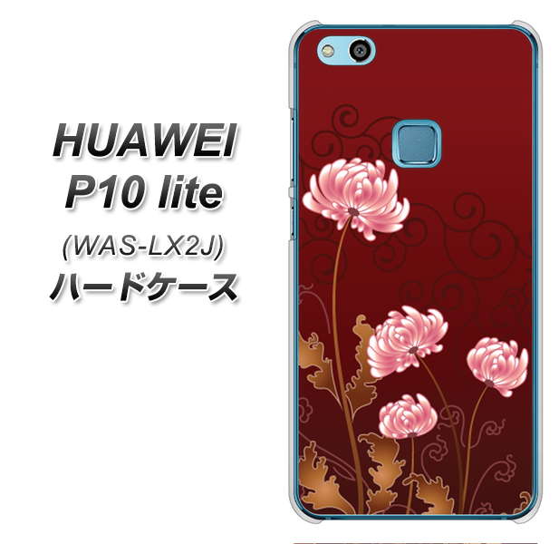 HUAWEI(ファーウェイ)P10 lite WAS-LX2J 高画質仕上げ 背面印刷 ハードケース【375 優美な菊】