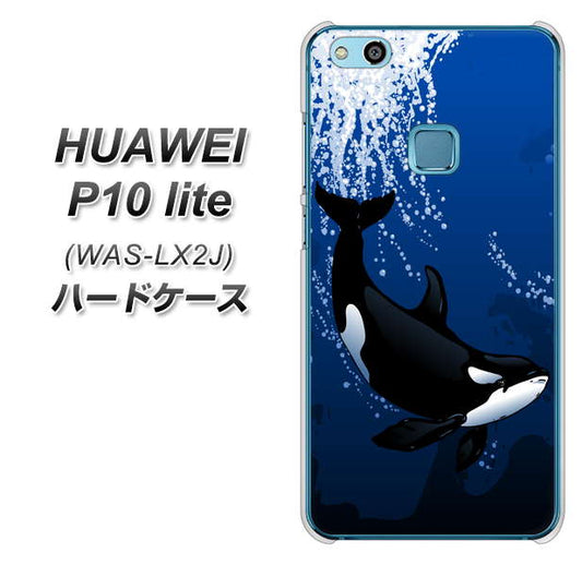 HUAWEI(ファーウェイ)P10 lite WAS-LX2J 高画質仕上げ 背面印刷 ハードケース【423 シャチ】