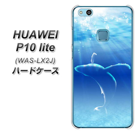 HUAWEI(ファーウェイ)P10 lite WAS-LX2J 高画質仕上げ 背面印刷 ハードケース【1047 海の守り神くじら】