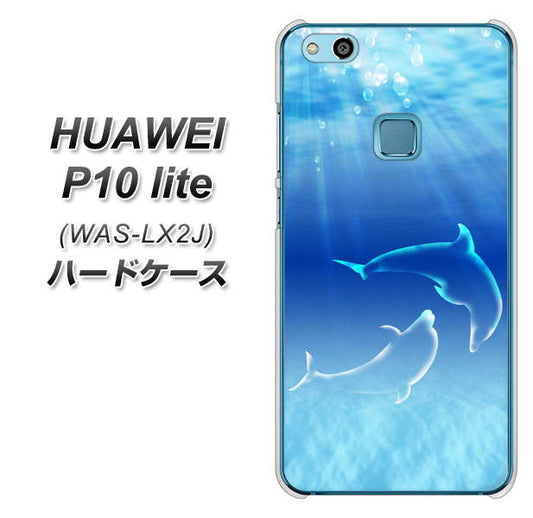 HUAWEI（ファーウェイ）P10 lite WAS-LX2J 高画質仕上げ 背面印刷 ハードケース【1048 海の守り神イルカ】
