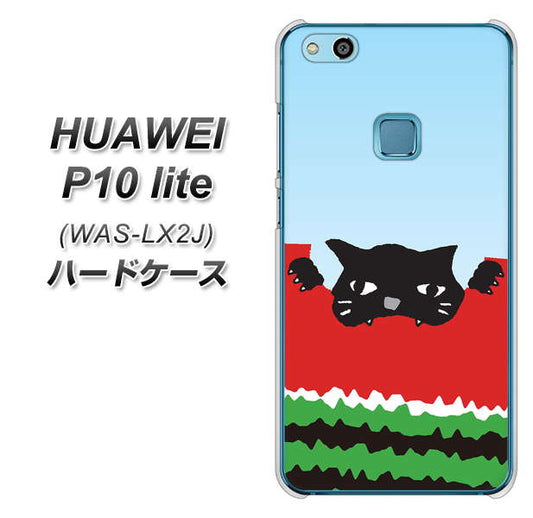 HUAWEI（ファーウェイ）P10 lite WAS-LX2J 高画質仕上げ 背面印刷 ハードケース【IA815 すいかをかじるネコ(大)】