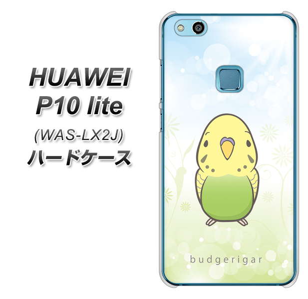 HUAWEI(ファーウェイ)P10 lite WAS-LX2J 高画質仕上げ 背面印刷 ハードケース【SC838 セキセイインコ グリーン】