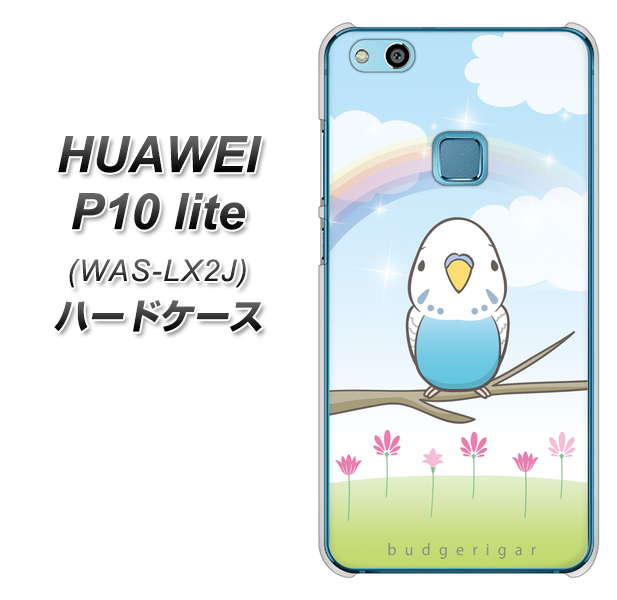 HUAWEI（ファーウェイ）P10 lite WAS-LX2J 高画質仕上げ 背面印刷 ハードケース【SC839 セキセイインコ ブルー】