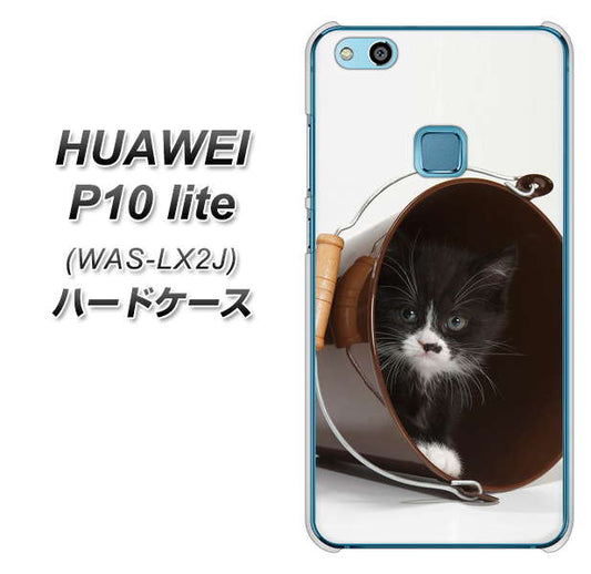 HUAWEI(ファーウェイ)P10 lite WAS-LX2J 高画質仕上げ 背面印刷 ハードケース【VA800 ネコとバケツ】