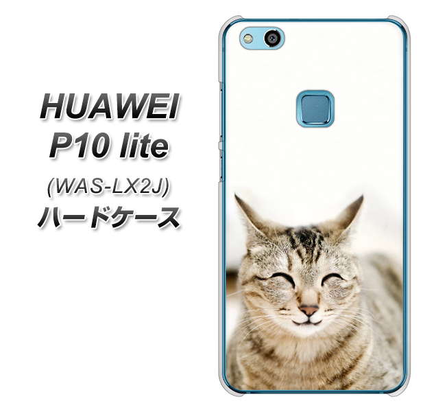 HUAWEI(ファーウェイ)P10 lite WAS-LX2J 高画質仕上げ 背面印刷 ハードケース【VA801 笑福ねこ】