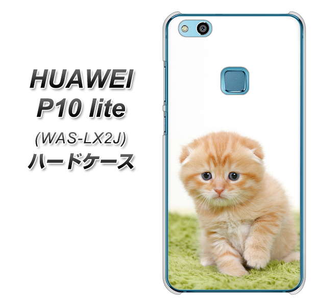 HUAWEI(ファーウェイ)P10 lite WAS-LX2J 高画質仕上げ 背面印刷 ハードケース【VA802 ネコこっそり】