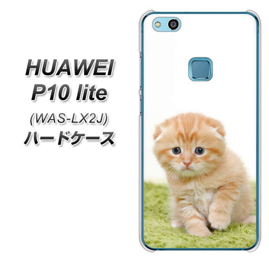 HUAWEI(ファーウェイ)P10 lite WAS-LX2J 高画質仕上げ 背面印刷 ハードケース【VA802 ネコこっそり】