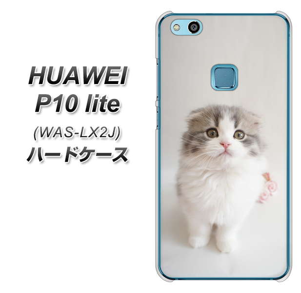 HUAWEI(ファーウェイ)P10 lite WAS-LX2J 高画質仕上げ 背面印刷 ハードケース【VA803 まっていますネコ】