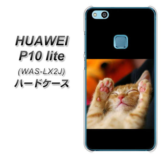 HUAWEI（ファーウェイ）P10 lite WAS-LX2J 高画質仕上げ 背面印刷 ハードケース【VA804 爆睡するネコ】