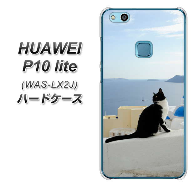 HUAWEI(ファーウェイ)P10 lite WAS-LX2J 高画質仕上げ 背面印刷 ハードケース【VA805 ネコと地中海】