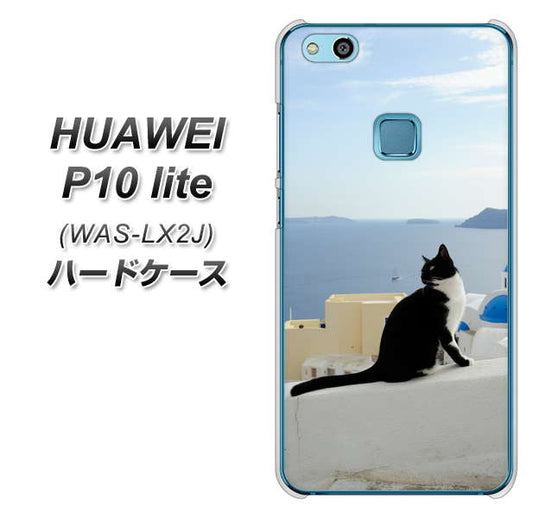 HUAWEI（ファーウェイ）P10 lite WAS-LX2J 高画質仕上げ 背面印刷 ハードケース【VA805 ネコと地中海】