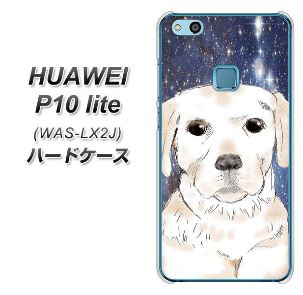 HUAWEI(ファーウェイ)P10 lite WAS-LX2J 高画質仕上げ 背面印刷 ハードケース【YD820 ラブラドールレトリバー01】
