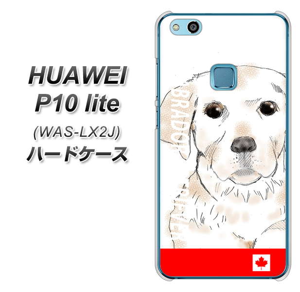 HUAWEI(ファーウェイ)P10 lite WAS-LX2J 高画質仕上げ 背面印刷 ハードケース【YD821 ラブラドールレトリバー02】