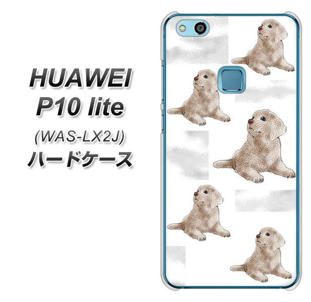 HUAWEI(ファーウェイ)P10 lite WAS-LX2J 高画質仕上げ 背面印刷 ハードケース【YD823 ラブラドールレトリバー04】
