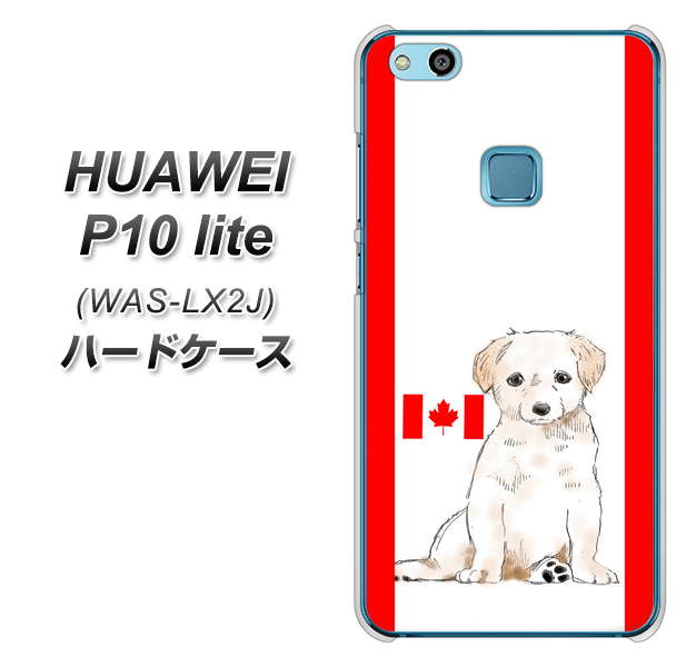 HUAWEI(ファーウェイ)P10 lite WAS-LX2J 高画質仕上げ 背面印刷 ハードケース【YD824 ラブラドールレトリバー05】