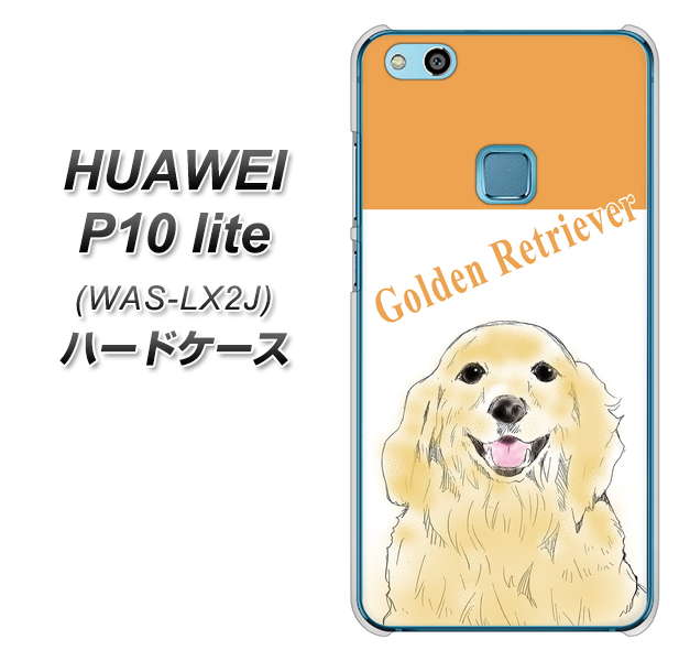 HUAWEI(ファーウェイ)P10 lite WAS-LX2J 高画質仕上げ 背面印刷 ハードケース【YD827 ゴールデンレトリバー03】