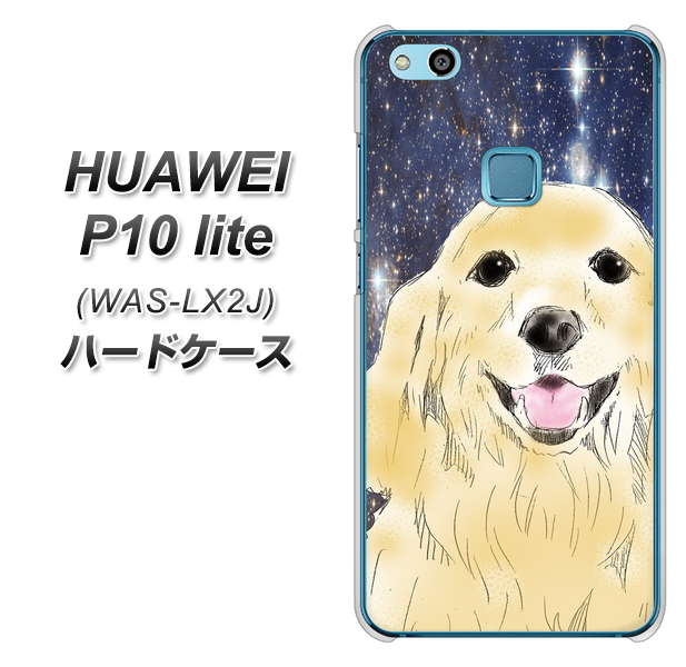 HUAWEI(ファーウェイ)P10 lite WAS-LX2J 高画質仕上げ 背面印刷 ハードケース【YD828 ゴールデンレトリバー04】