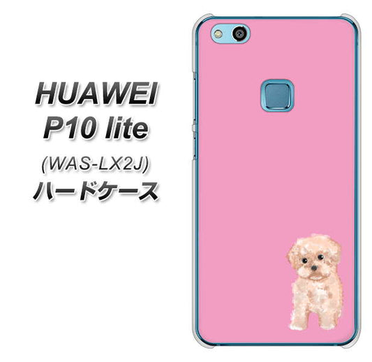 HUAWEI（ファーウェイ）P10 lite WAS-LX2J 高画質仕上げ 背面印刷 ハードケース【YJ061 トイプードルアプリコット（ピンク）】