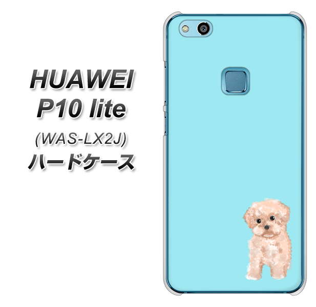 HUAWEI(ファーウェイ)P10 lite WAS-LX2J 高画質仕上げ 背面印刷 ハードケース【YJ062 トイプードルアプリコット(ブルー)】