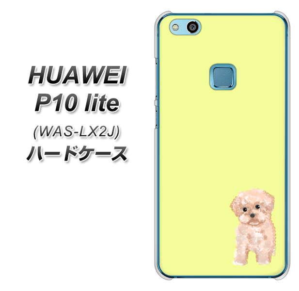 HUAWEI(ファーウェイ)P10 lite WAS-LX2J 高画質仕上げ 背面印刷 ハードケース【YJ064 トイプードルアプリコット(イエロー)】