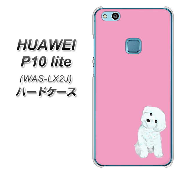 HUAWEI(ファーウェイ)P10 lite WAS-LX2J 高画質仕上げ 背面印刷 ハードケース【YJ069 トイプードルホワイト(ピンク)】