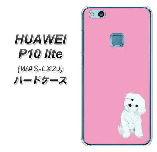 HUAWEI（ファーウェイ）P10 lite WAS-LX2J 高画質仕上げ 背面印刷 ハードケース【YJ069 トイプードルホワイト（ピンク）】
