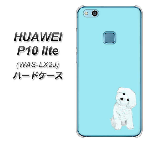 HUAWEI(ファーウェイ)P10 lite WAS-LX2J 高画質仕上げ 背面印刷 ハードケース【YJ070 トイプードルホワイト(ブルー)】