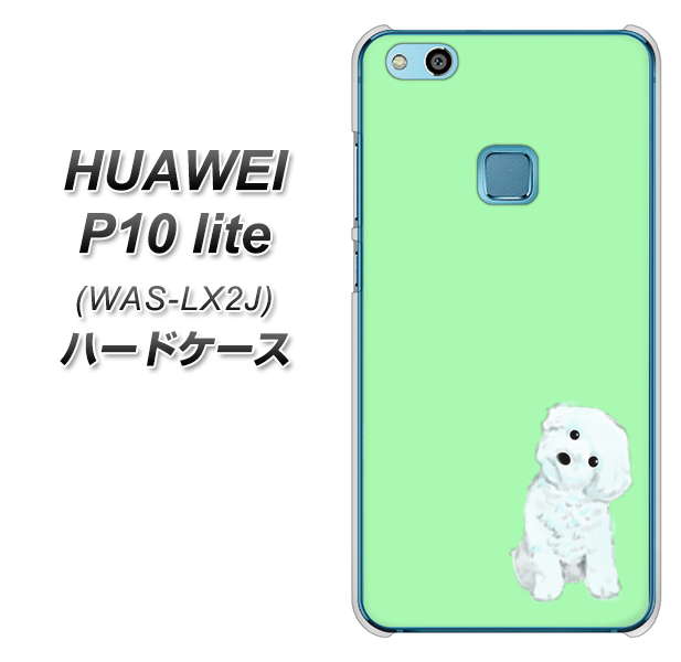 HUAWEI(ファーウェイ)P10 lite WAS-LX2J 高画質仕上げ 背面印刷 ハードケース【YJ071 トイプードルホワイト(グリーン)】