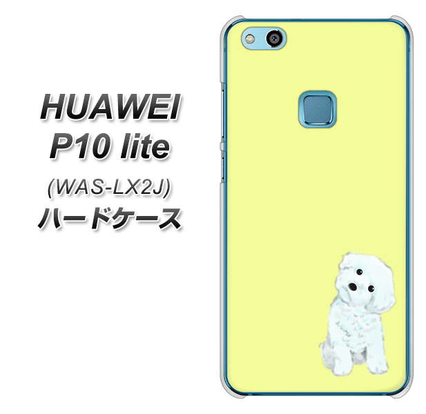 HUAWEI(ファーウェイ)P10 lite WAS-LX2J 高画質仕上げ 背面印刷 ハードケース【YJ072 トイプードルホワイト(イエロー)】