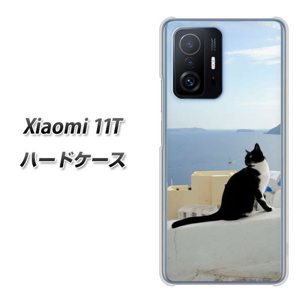 Xiaomi 11T 高画質仕上げ 背面印刷 ハードケース【VA805 ネコと地中海】