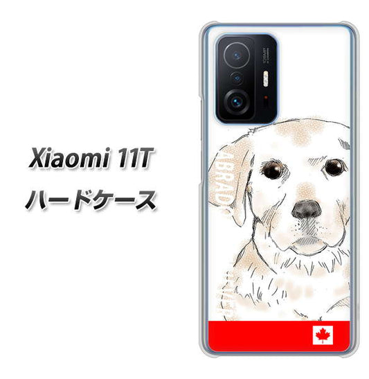 Xiaomi 11T 高画質仕上げ 背面印刷 ハードケース【YD821 ラブラドールレトリバー02】