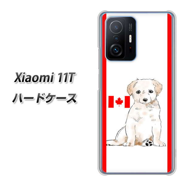 Xiaomi 11T 高画質仕上げ 背面印刷 ハードケース【YD824 ラブラドールレトリバー05】