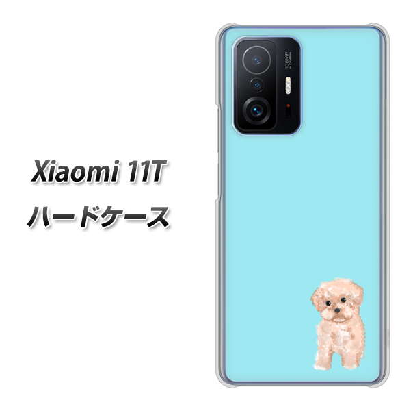 Xiaomi 11T 高画質仕上げ 背面印刷 ハードケース【YJ062 トイプードルアプリコット(ブルー)】