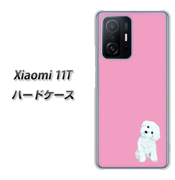 Xiaomi 11T 高画質仕上げ 背面印刷 ハードケース【YJ069 トイプードルホワイト(ピンク)】