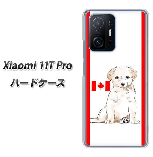 Xiaomi 11T Pro 高画質仕上げ 背面印刷 ハードケース【YD824 ラブラドールレトリバー05】