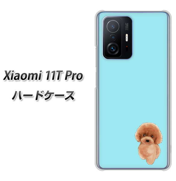 Xiaomi 11T Pro 高画質仕上げ 背面印刷 ハードケース【YJ050 トイプードルレッド(ブルー)】