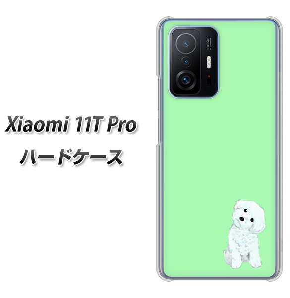Xiaomi 11T Pro 高画質仕上げ 背面印刷 ハードケース【YJ071 トイプードルホワイト(グリーン)】