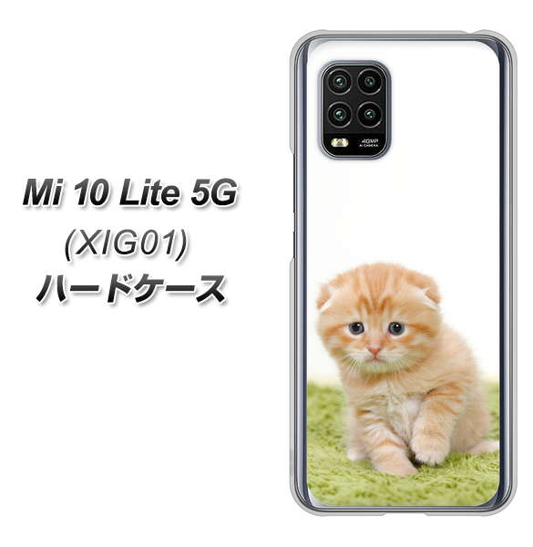 au Xiaomi(シャオミ)Mi 10 Lite 5G XIG01 高画質仕上げ 背面印刷 ハードケース【VA802 ネコこっそり】